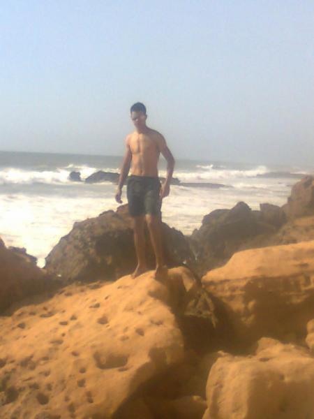 tigre